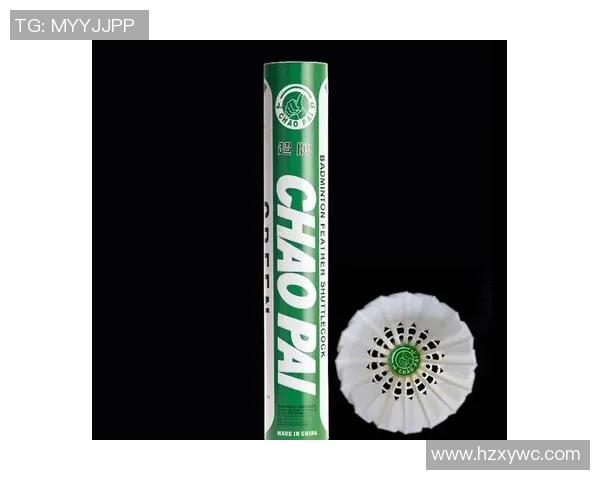 羽毛球新手必看：从零基础到高手的全面入门攻略与技巧分享